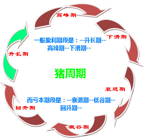 如何破解價(jià)格怪圈 化解“豬周期”風(fēng)險(xiǎn)？